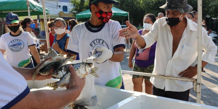 FOTOS: Tizziana Barbosa