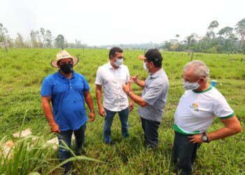 Fotos: Tacio Melo/Secom