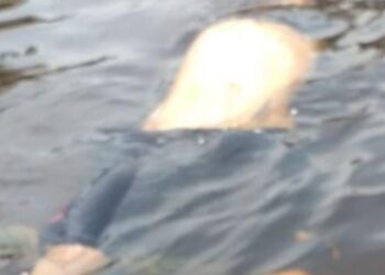 Foto: Reprodução Internet