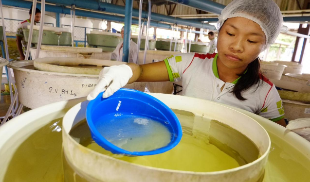 Foto:Divulgação/Sedecti