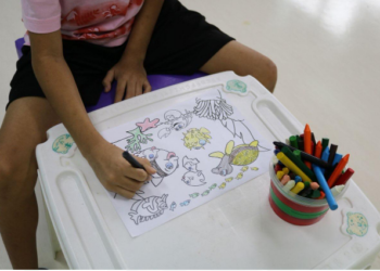 Foto: Arquivo/FCecon