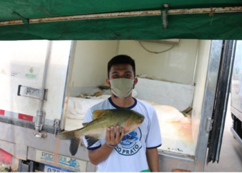 Foto: Arquivo/Sepror