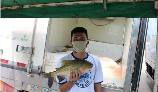 Foto: Arquivo/Sepror