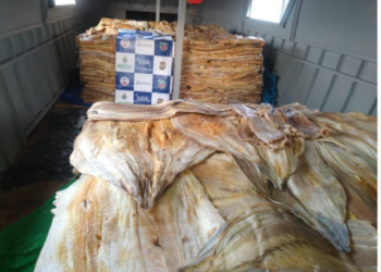 Foto: Divulgação/SSP-AM