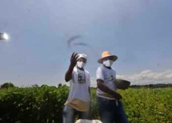 Fotos: Michell Mello/Secom.