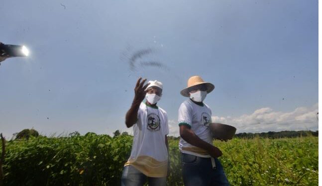 Fotos: Michell Mello/Secom.