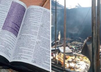 Foto: Reprodução/  Altair Merlo/