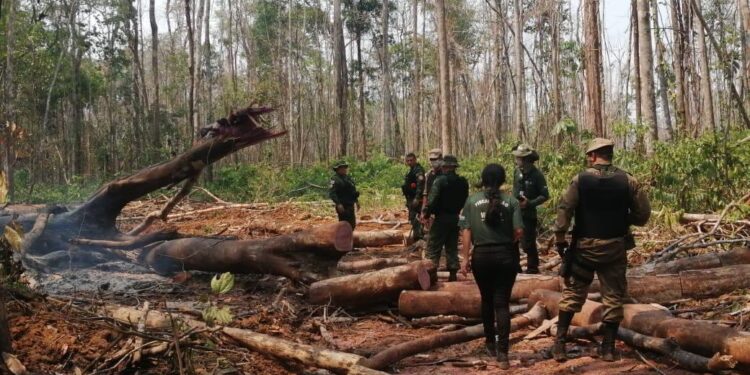 Fotos: Divulgação/Sema