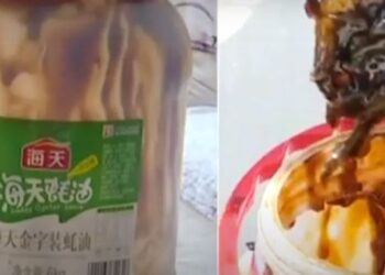 reprodução instagram