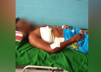 Foto: Reprodução/ Giro Portal