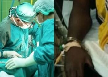 Foto: Pixabay + Reprodução AdomTV