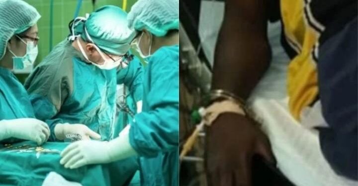 Foto: Pixabay + Reprodução AdomTV