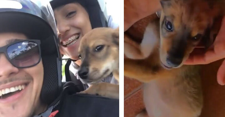 Foto: Arquivo Pessoal