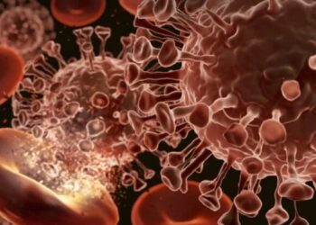 Imagem: Adisorn Saovadee/Shutterstock