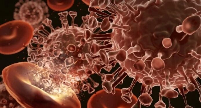 Imagem: Adisorn Saovadee/Shutterstock