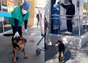 (Foto: Reprodução / Facebook