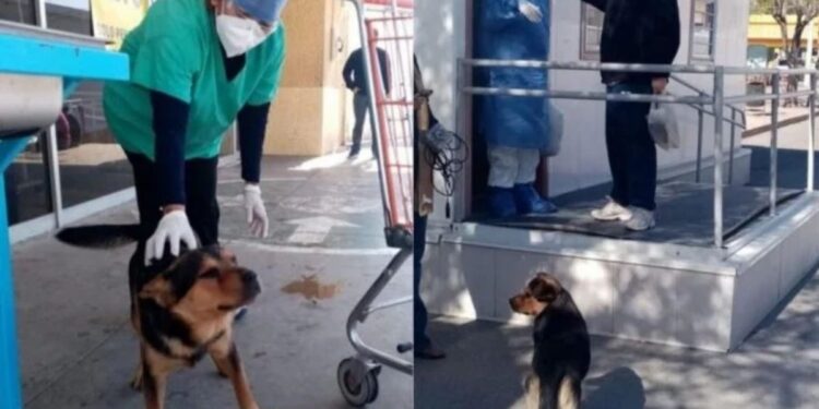 (Foto: Reprodução / Facebook