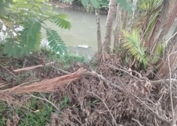 ´Foto: Reprodução