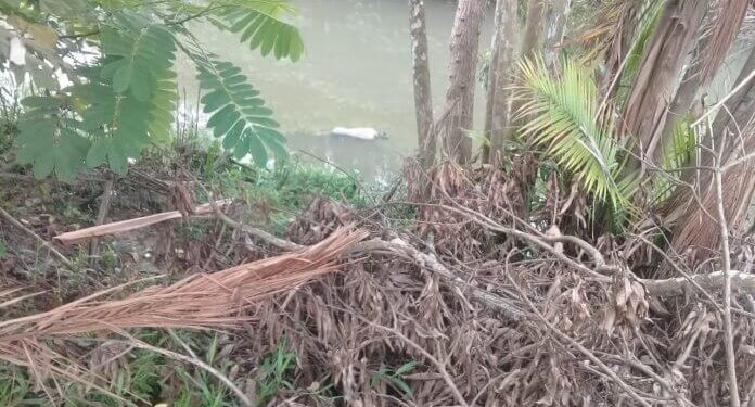 ´Foto: Reprodução