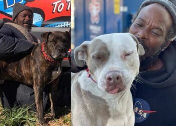 Fotos: Gracie Hamlin / W-Underdogs