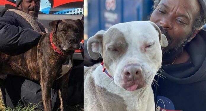 Fotos: Gracie Hamlin / W-Underdogs