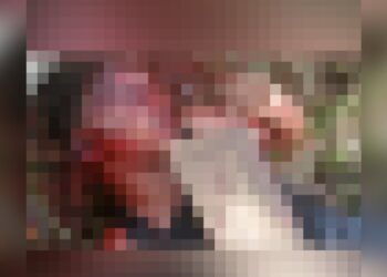 Imagem: Reprodução (WhatsApp)