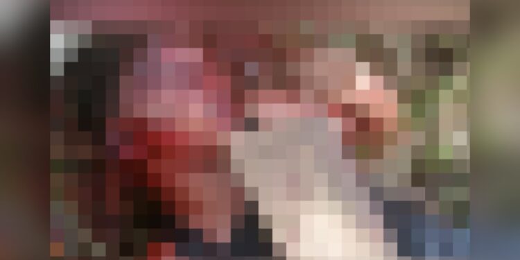 Imagem: Reprodução (WhatsApp)