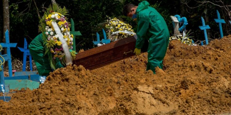 Foto: Prefeitura de Manaus