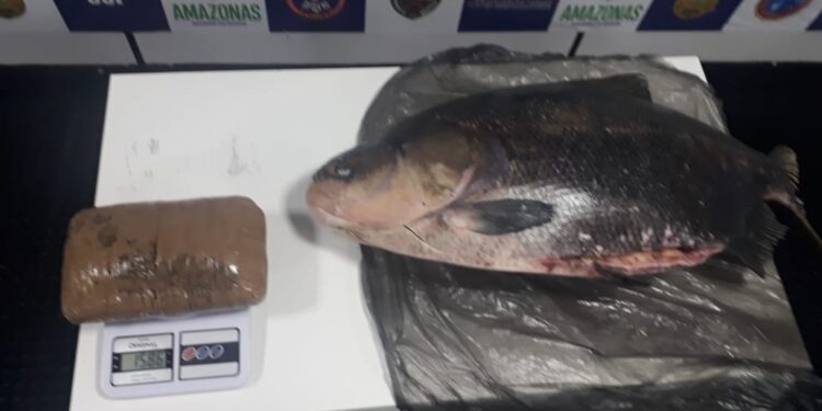 Foto: Divulgação/PM-AM