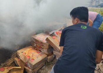 Foto: Divulgação/Adaf