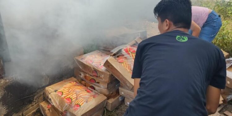 Foto: Divulgação/Adaf