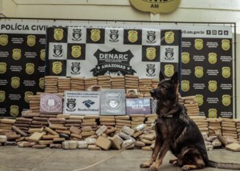 Foto: Divulgação/PC-AM