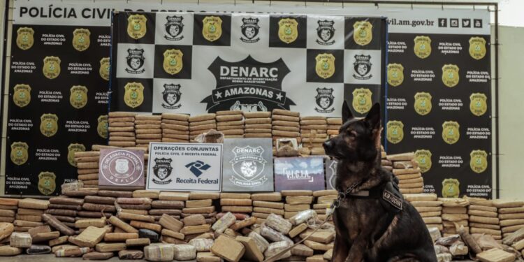 Foto: Divulgação/PC-AM