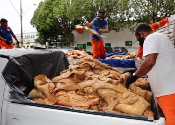 Fotos: Mário Oliveira / Fundo Manaus Solidária