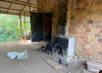 Polícia Civil / Divulgação