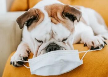 Carol Yepes/Getty Images