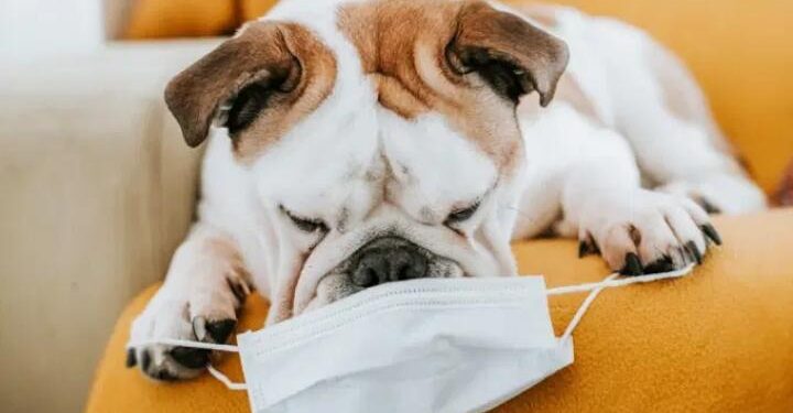 Carol Yepes/Getty Images