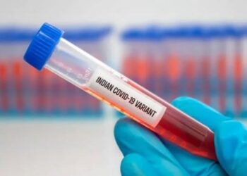 Imagem: OsasiSamuel – Shutterstock