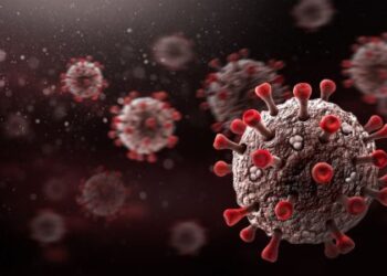 Foto:  Niaid/Divulgação