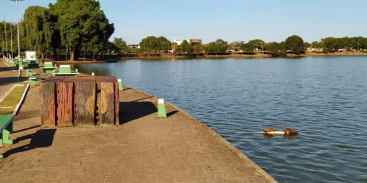 Foto: Reprodução/Thiago Costa/TV Anhanguera