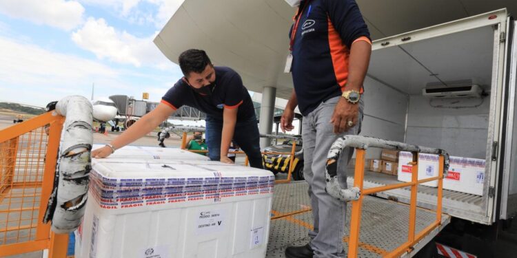 Fotos: Diego Peres/Secom