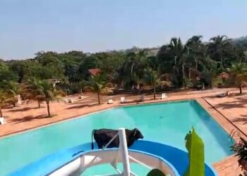 Boi subiu em toboágua de clube de Nova Granada (SP) — Foto: Reprodução/G1