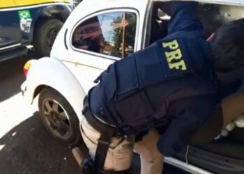 No total, traficante paranaense levava consigo 41 kg da droga. Foto: Divulgação/Instagram - PRF