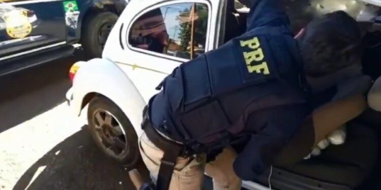 No total, traficante paranaense levava consigo 41 kg da droga. Foto: Divulgação/Instagram - PRF