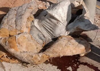 A vítima não foi identificada pela polícia e corpo foi encontrado por moradores que estavam passando pelo local para ir trabalhar. Foto: Divulgação