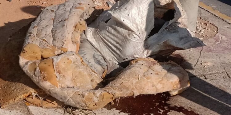 A vítima não foi identificada pela polícia e corpo foi encontrado por moradores que estavam passando pelo local para ir trabalhar. Foto: Divulgação