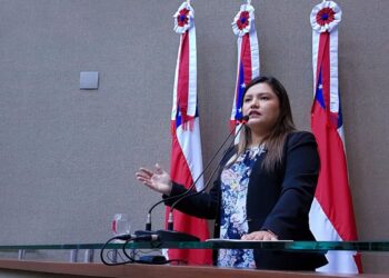 Deputada se revoltou e fez críticas em seu perfil no Instagram, nesta terça-feira (2). Foto: Divulgação