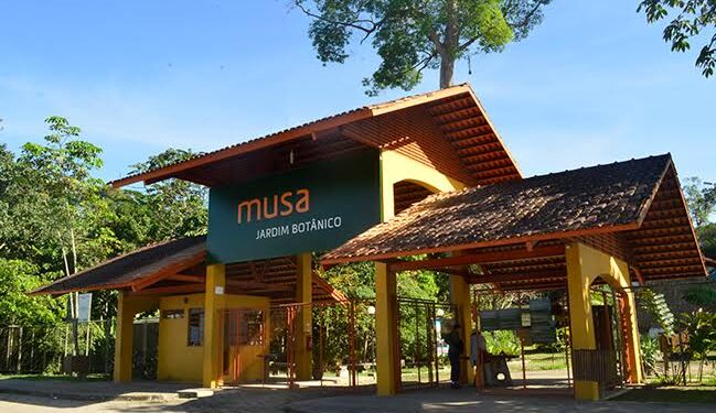 Homem levou todos os celulares dos visitantes que estavam na trilha. Foto: Musa/Divulgação