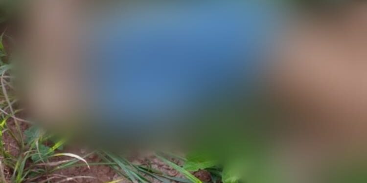 O jovem, segundo moradores, foi morto ainda na noite de Natal. Foto: Divulgação