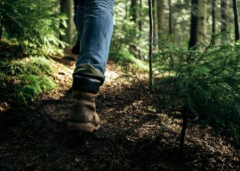O homem se perdeu dentro da mata e não conseguiu retornar para casa. Foto: Reprodução/Internet